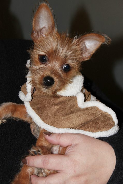 Jasper Tallapoosa Landrum-Rushing